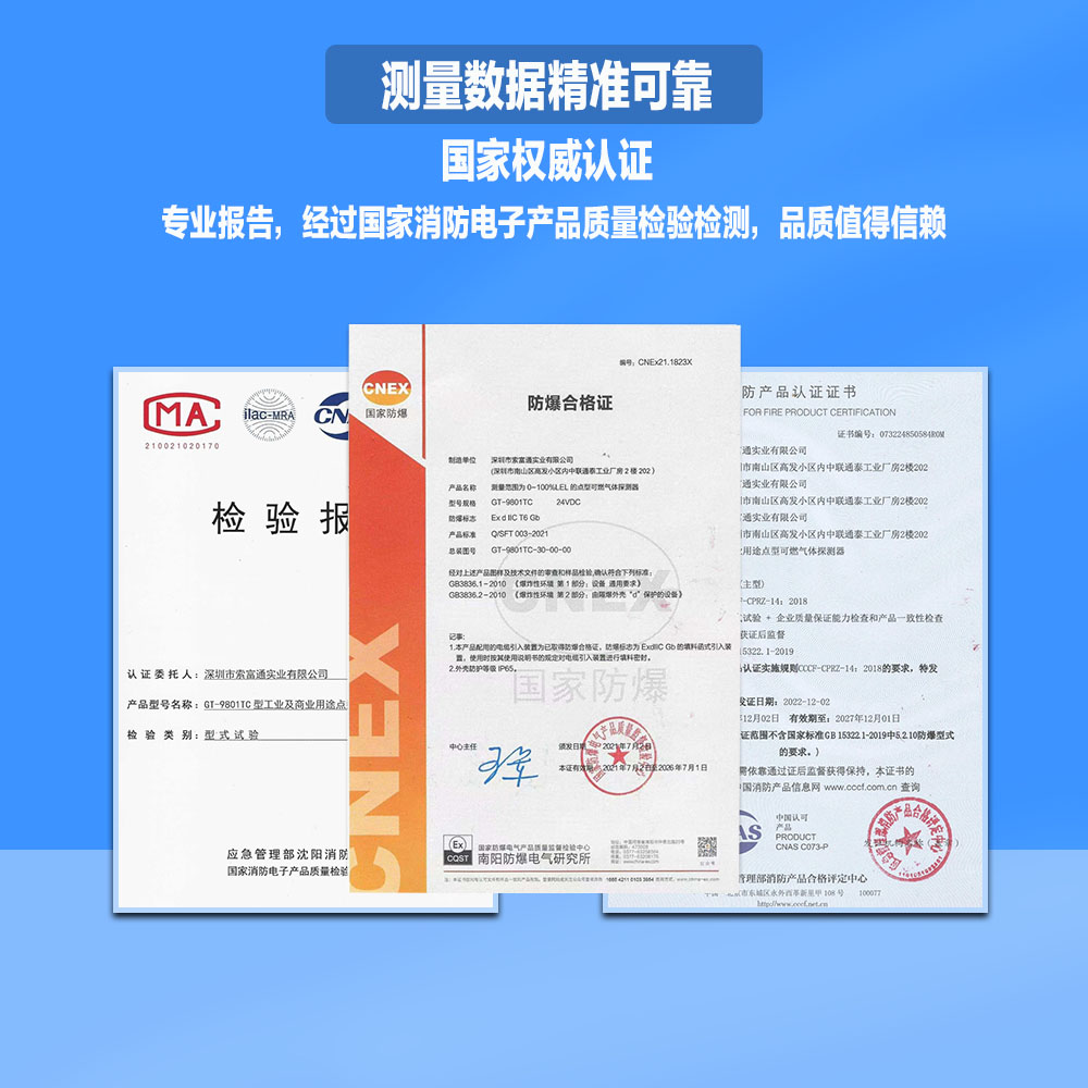 GTYQ-9801TB/SST-9801B汽油氣體報警器(圖3)